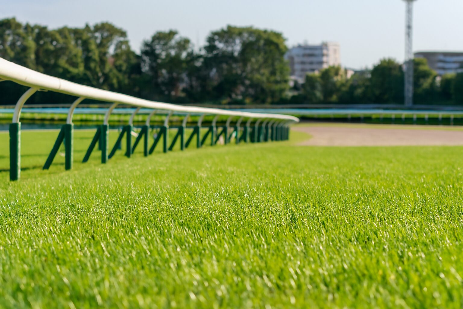 高速馬場の芝と直線コース