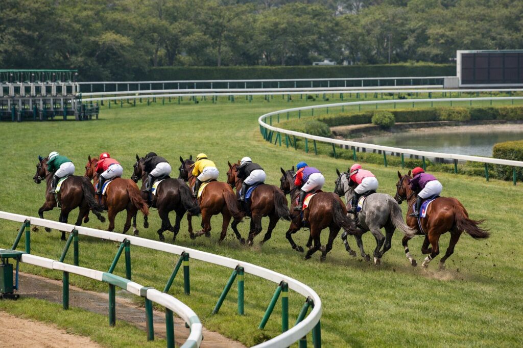 複数の競走馬が同時に走る様子