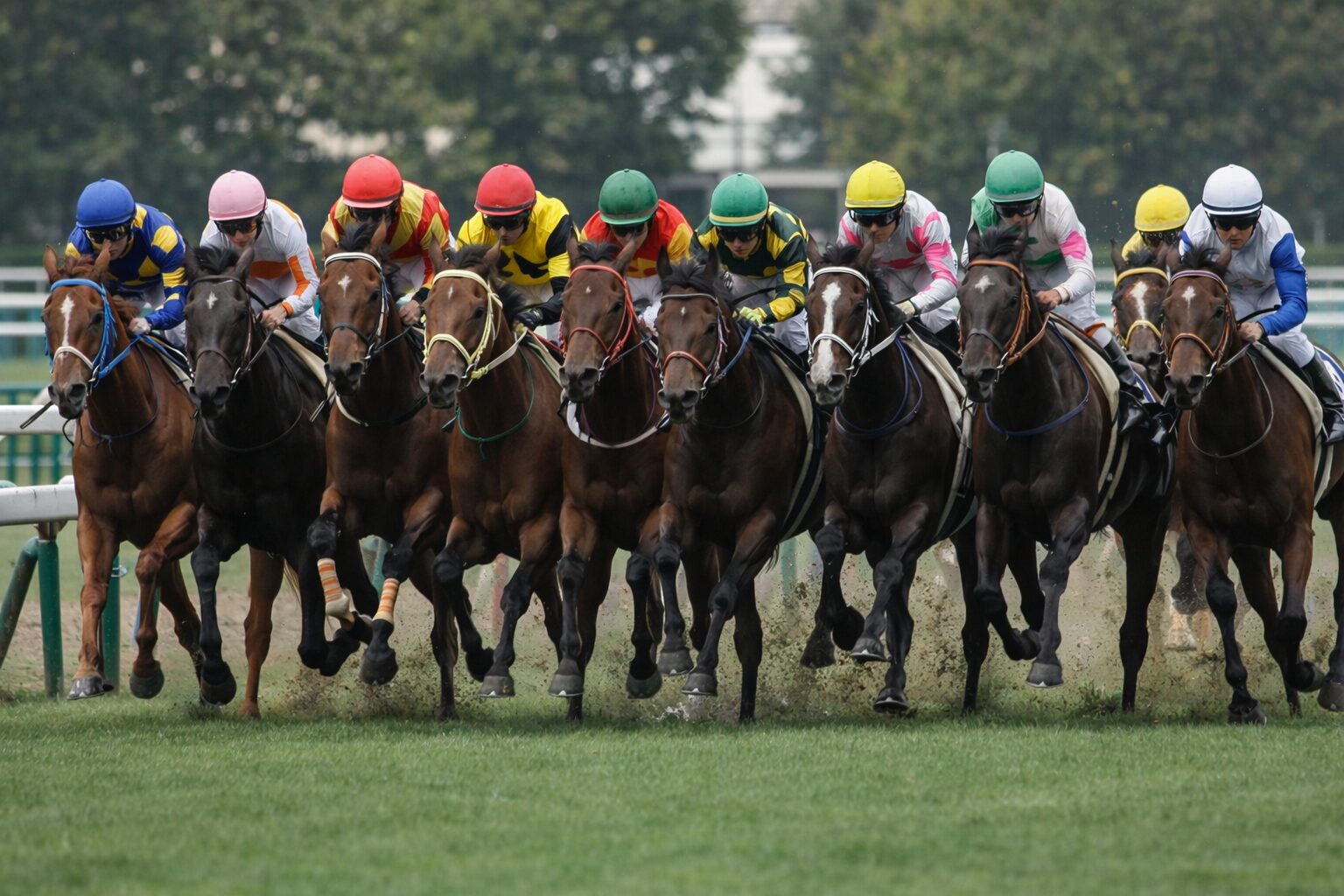 8頭ボックスの特徴を示す構成