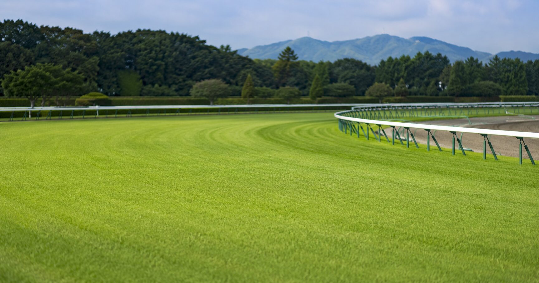 ハービンジャー産駒の特徴を整理するための血統表や競馬データが並ぶ分析環境を表すイメージ画像