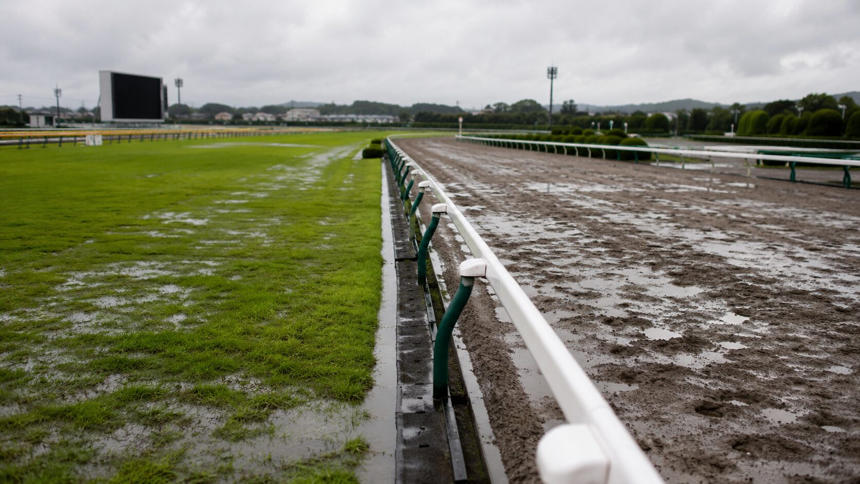 重馬場とは何かをテーマに、雨でぬかるんだ芝とダートコースの違いを表現した競馬場の風景イメージ